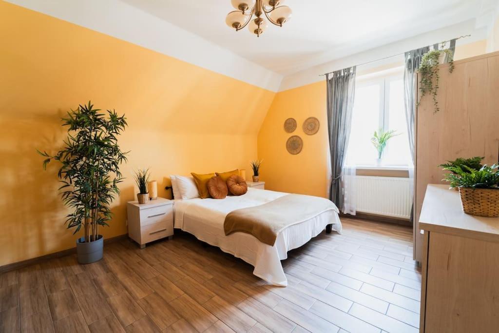 Market Square - Street Rynek 24 -2 Rooms Wrocław Exterior foto
